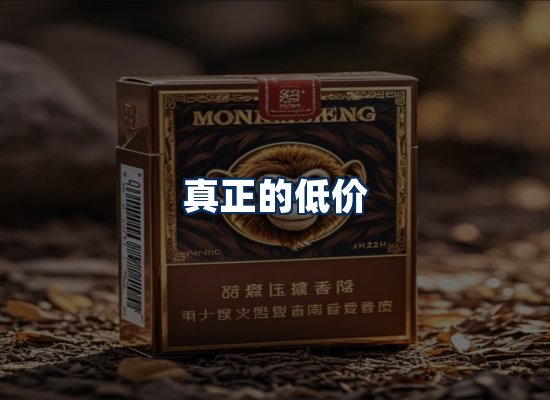 专业团队办公环境